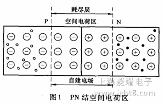 PN結(jié)及空間電荷區(qū) PN結(jié)及空間電荷區(qū)